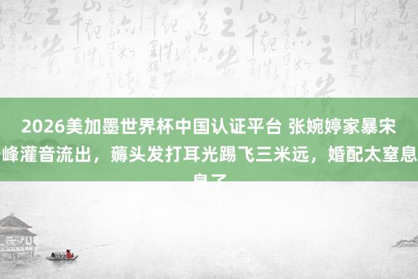 2026美加墨世界杯中國(guó)認(rèn)證平臺(tái) 張婉婷家暴宋寧峰灌音流出，薅頭發(fā)打耳光踢飛三米遠(yuǎn)，婚配太窒息了