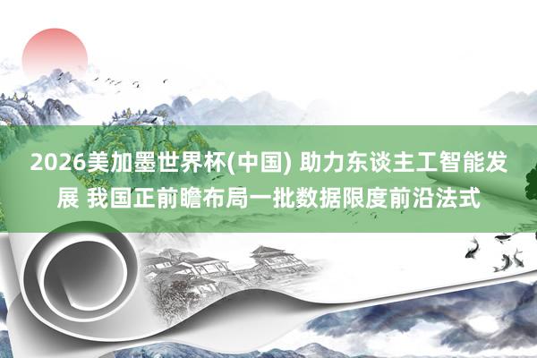 2026美加墨世界杯(中國) 助力東談主工智能發展 我國正前瞻布局一批數據限度前沿法式