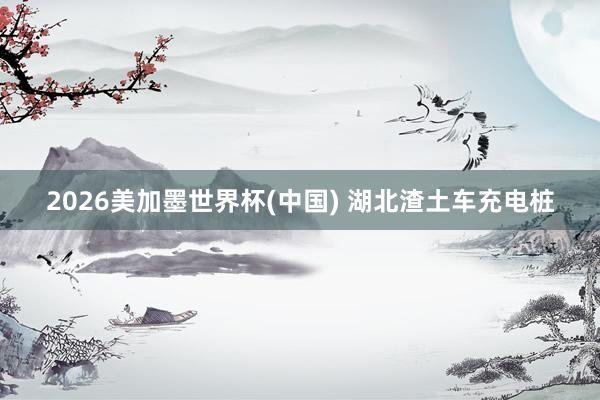 2026美加墨世界杯(中國) 湖北渣土車充電樁