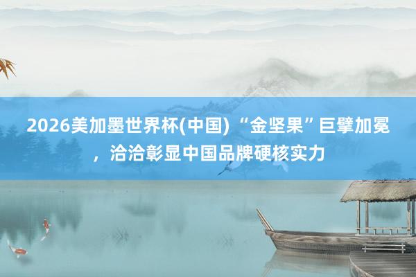 2026美加墨世界杯(中國) “金堅果”巨擘加冕,洽洽彰顯中國品牌硬核實力