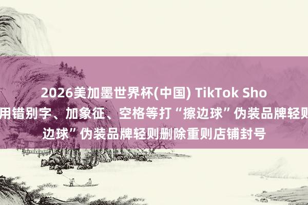 2026美加墨世界杯(中國) TikTok Shop東南亞新規(guī)來了， 用錯別字、加象征、空格等打“擦邊球”偽裝品牌輕則刪除重則店鋪封號