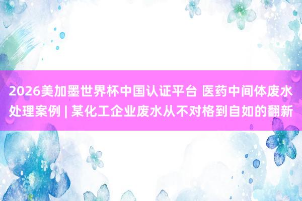 2026美加墨世界杯中國認證平臺 醫藥中間體廢水處理案例 | 某化工企業廢水從不對格到自如的翻新