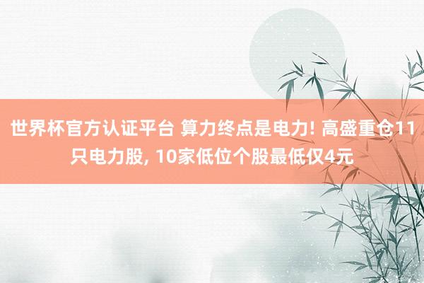 世界杯官方認證平臺 算力終點是電力! 高盛重倉11只電力股, 10家低位個股最低僅4元